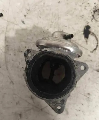 Skoda Octavia Mk2 (1Z) EGR valve 038131501AN 180613065