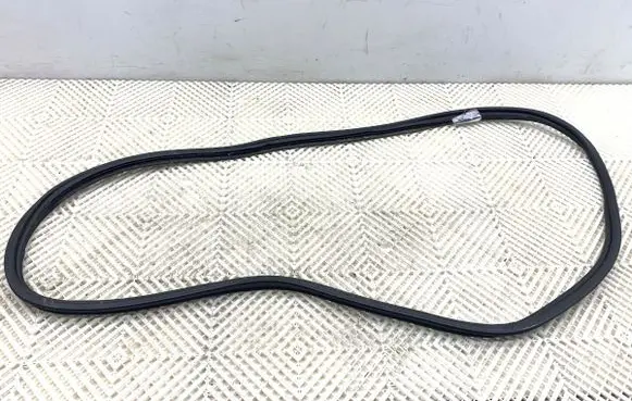 Renault Megane III Rubber seal front door (on door) 