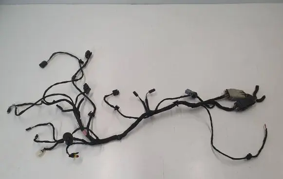 Tesla Model S Other wiring loom 103533800S