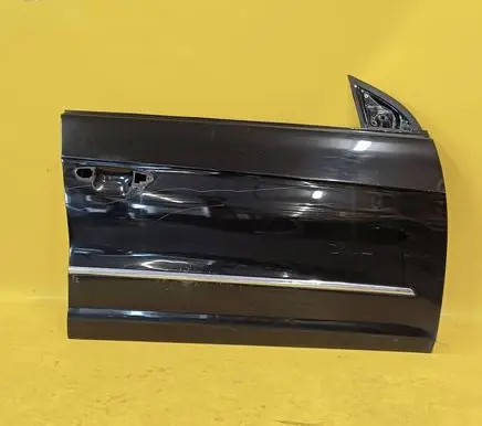 Volkswagen PASSAT CC Front door