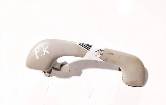 Renault Espace - Grand espace IV Front interior roof grab handle 8200003209 98194h