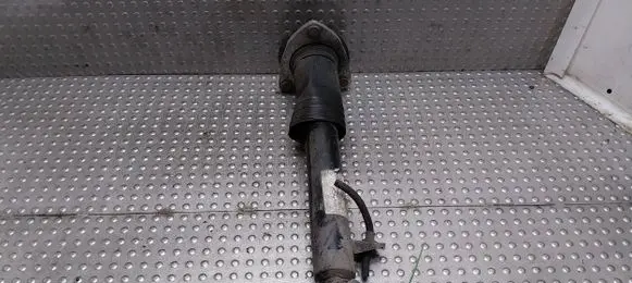 BMW X6 E71 Rear shock absorber/damper 6788512