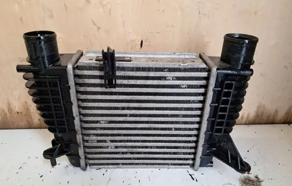 Nissan Juke I F15 Intercooler radiator 14461EM00A