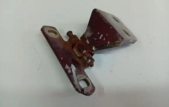 Renault Laguna I Rear door lower hinge 