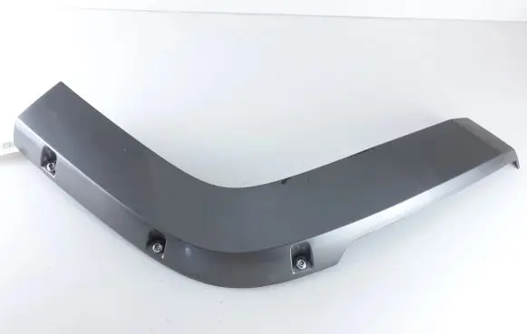 Rear door trim (molding)