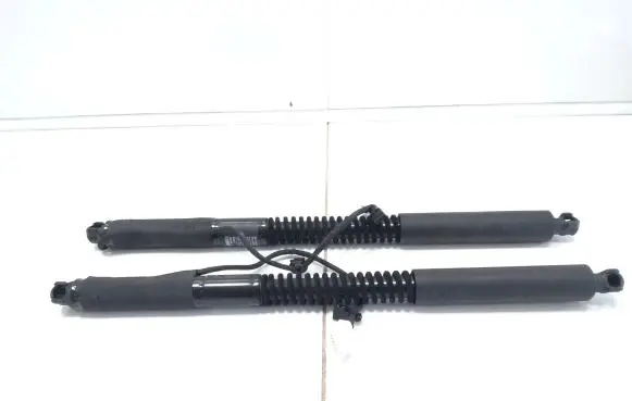Rear door check strap stopper