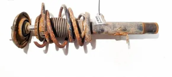 Peugeot 1007 Front shock absorber/damper 