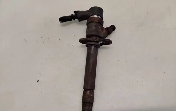 Volvo V70 Fuel injector 0445110078