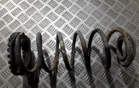 Rear coil spring