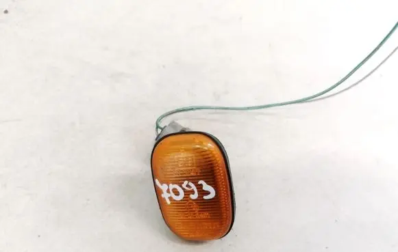 Toyota Previa (XR30, XR40) II Front fender indicator light E13013047