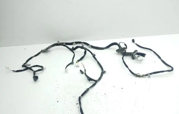 KIA Sportage Front door wiring loom 916101F320
