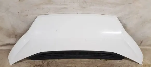 Engine bonnet/hood