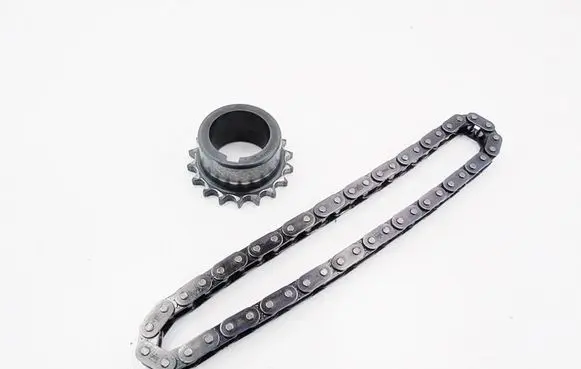Ford Focus C-MAX Timing chain (engine) 