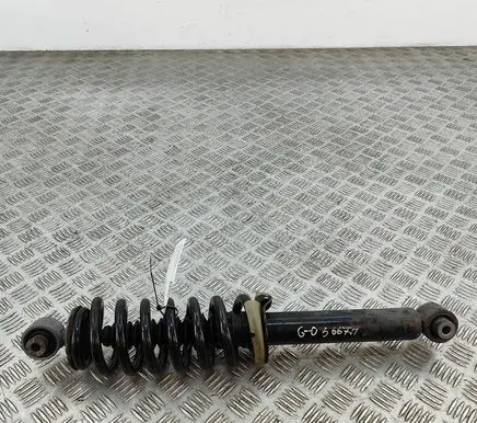Peugeot 3008 II Rear shock absorber/damper 9842404480