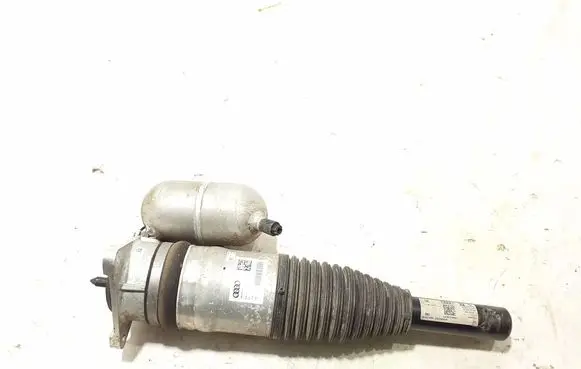 Audi A8 S8 D5 Rear shock absorber/damper 4N0616001T