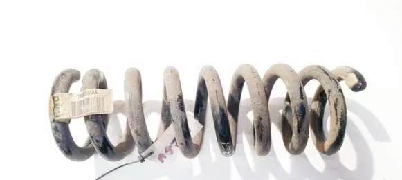 Chrysler 300 - 300C Rear coil spring 04895538aa