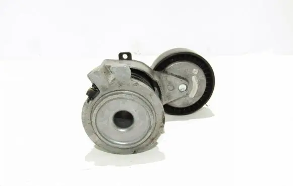 Seat Ibiza III (6L) Alternator belt tensioner 