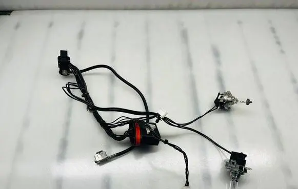 Porsche Cayenne (92A) Headlight/headlamp wiring loom/harness 16218300