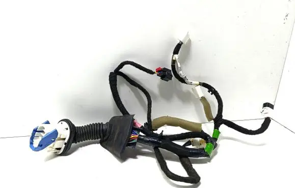 Front door wiring loom