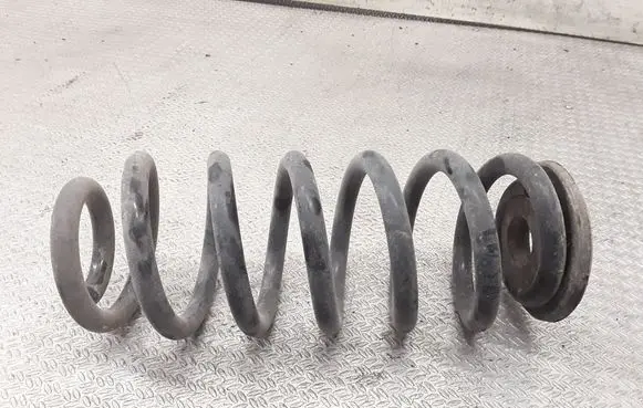 Rear coil spring
