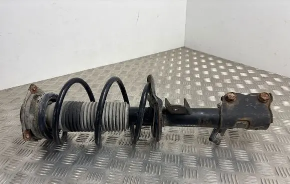 Renault Koleos I Rear shock absorber with coil spring 4802JY01B