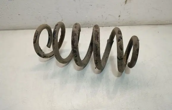 Toyota RAV 4 (XA40) Rear coil spring 