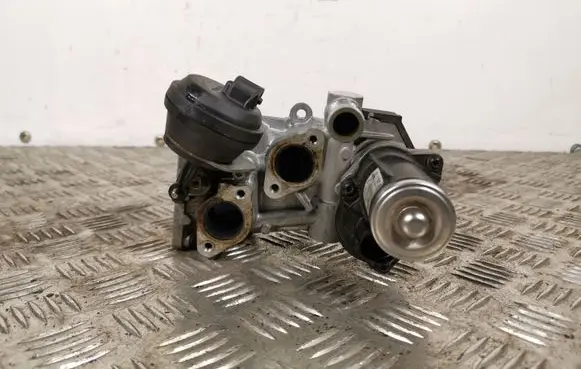Volkswagen Tiguan EGR valve 11725505