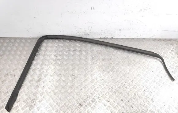 Nissan Pathfinder R50 Rubber seal front door (on door) 