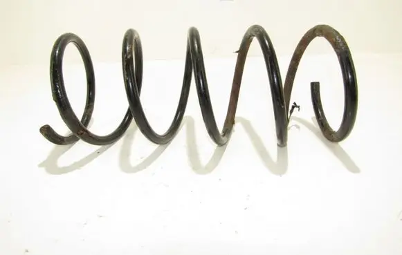 Front coil spring
