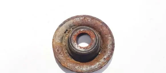 Coil spring mount