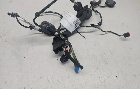 Front door wiring loom