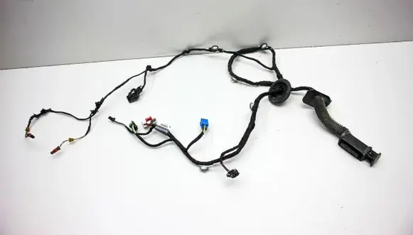 Other wiring loom