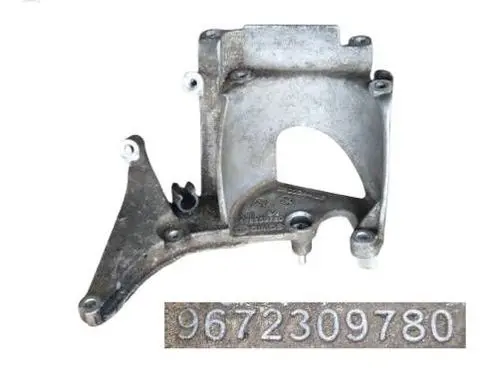 Citroen Berlingo Fuel filter bracket/mount holder 9672309780