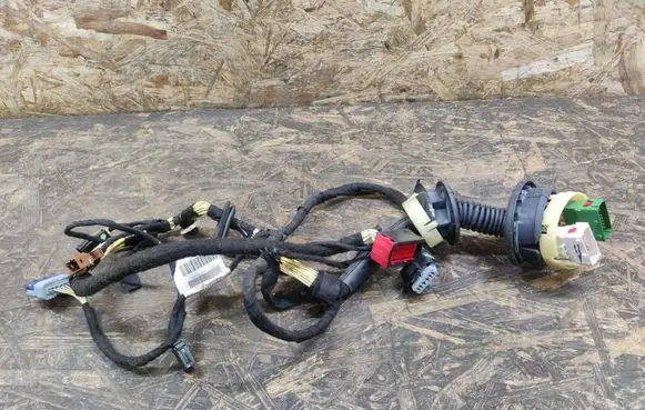 Front door wiring loom