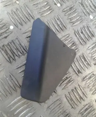 Renault Laguna III Plastic wing mirror trim cover 802920001R