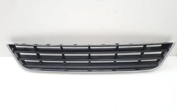 Volkswagen PASSAT B6 Front bumper lower grill