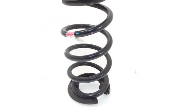 Tesla Model 3 Rear coil spring 104447291D