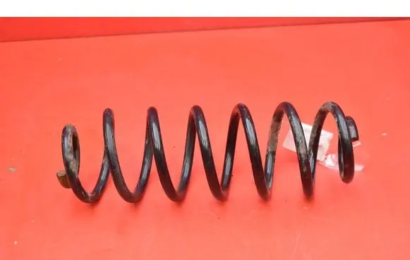 Volkswagen Tiguan Rear coil spring 