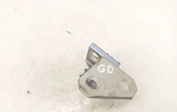 Volkswagen Golf VI Rear door lower hinge 