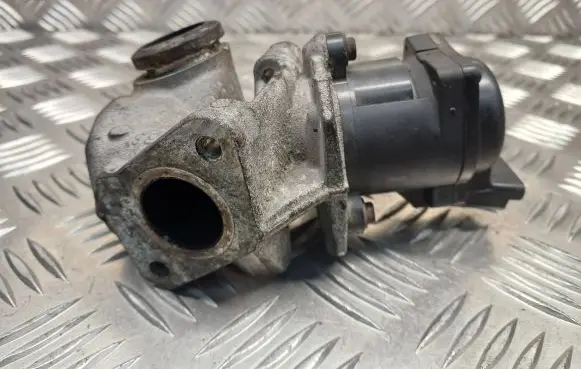 EGR valve