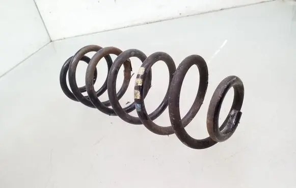 Rear coil spring