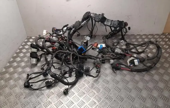 Tesla Model S Other wiring loom 112976000B