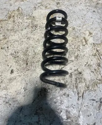 Rear coil spring