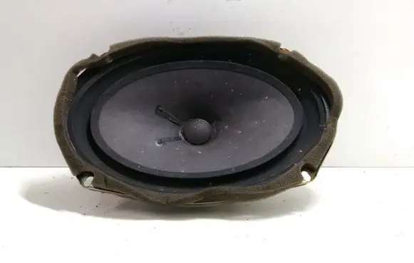 Rear door speaker