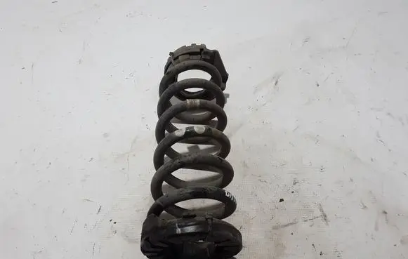 Rear coil spring