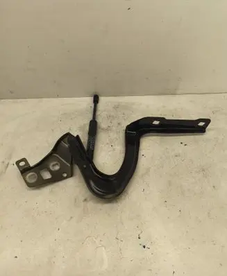 Tesla Model Y Engine bonnet/hood hinges 164119