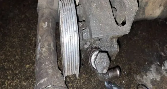 Volkswagen Sharan Power steering pump 