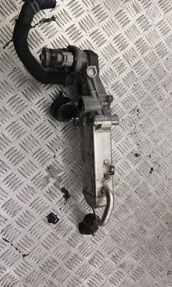 Volkswagen Sharan EGR valve cooler 709720000