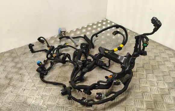 Engine installation wiring loom