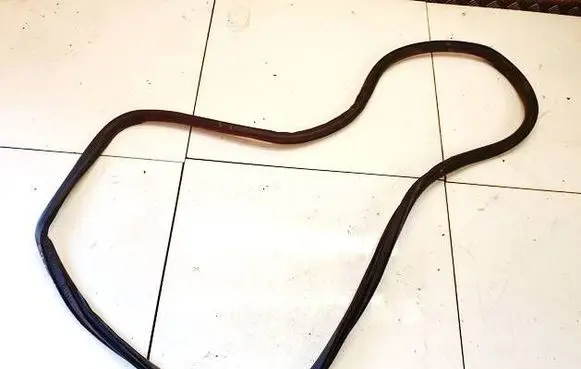 Opel Insignia A Rubber seal rear door